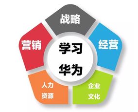 華為總部考察 奮斗機制、激勵體系與物聯網技術研發的融合創新